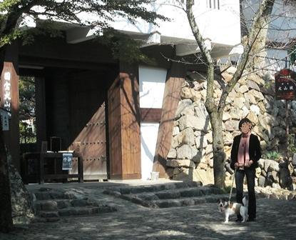 2009_1107tetsu0101.JPG
