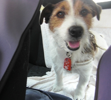 2010_0505tetsu0019.JPG