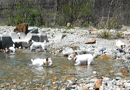 2010_0505tetsu0131.JPG