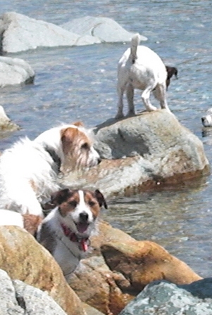 2010_0505tetsu0138.JPG