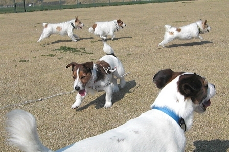 2010_0505tetsu0170.JPG