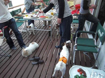 2010_0505tetsu0213.JPG