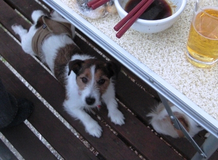 2010_0505tetsu0215.JPG