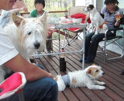 2010_0505tetsu0218.JPG