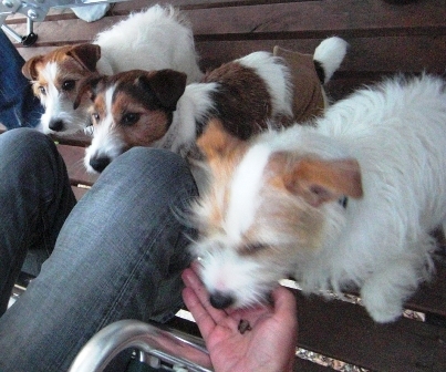2010_0505tetsu0221.JPG