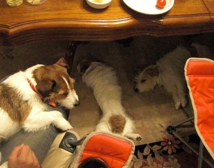 2010_0505tetsu0227.JPG