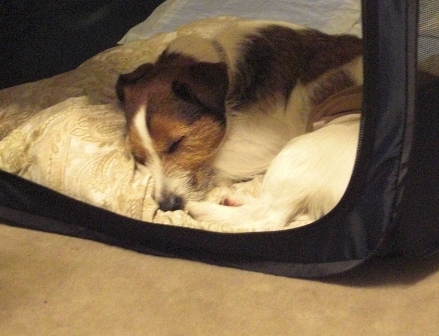 2010_0505tetsu0231.JPG