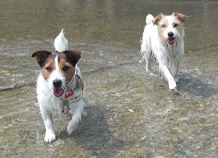 2010_0505tetsu0264.JPG
