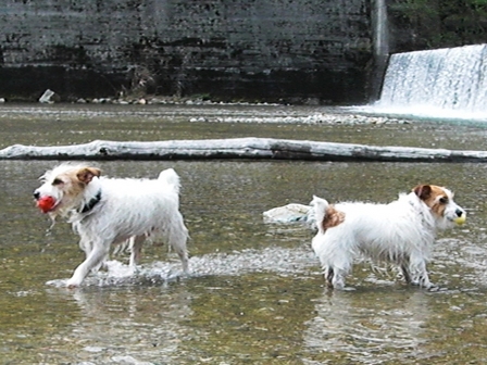 2010_0505tetsu0313.JPG