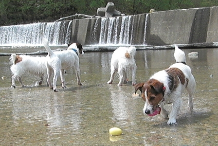 2010_0505tetsu0326.JPG
