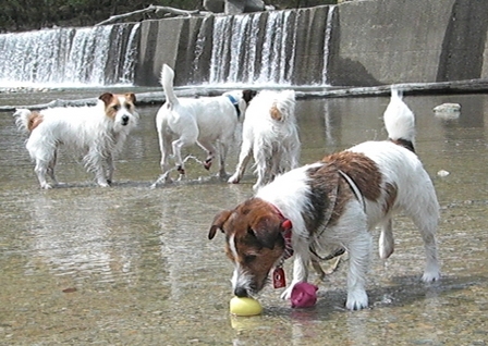 2010_0505tetsu0327.JPG