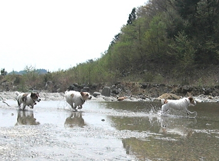 2010_0505tetsu0346.JPG