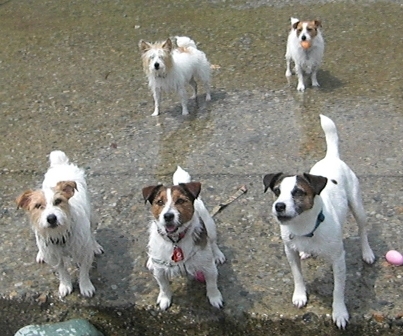 2010_0505tetsu0444.JPG