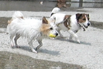 2010_0505tetsu0510.JPG