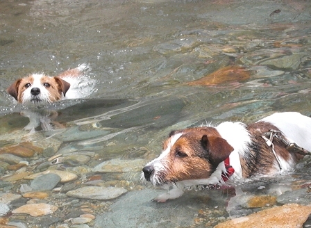 2010_0505tetsu0551.JPG