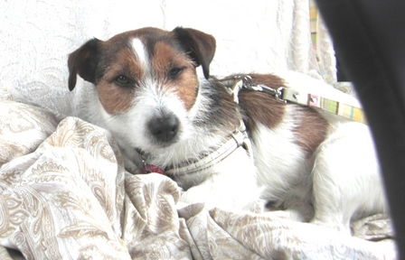 2010_0505tetsu0560.JPG