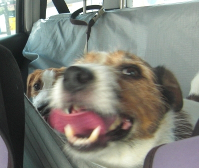 2011_0911tetsu0030.JPG