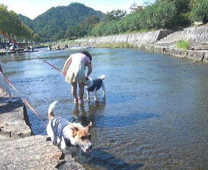 2011_0911tetsu0108.JPG
