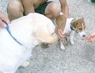 8gatuumi7.jpg