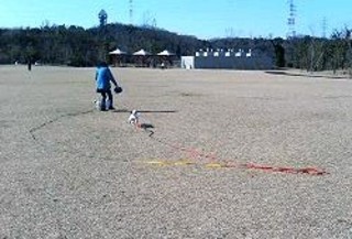 カーロ君2.JPG