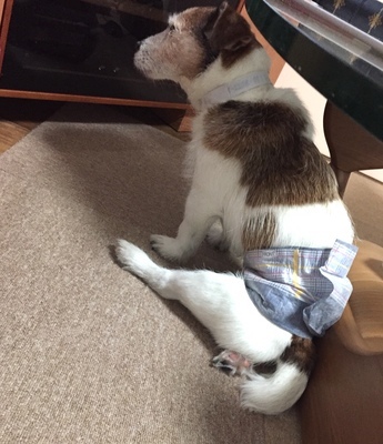 鉄 ショック.jpg