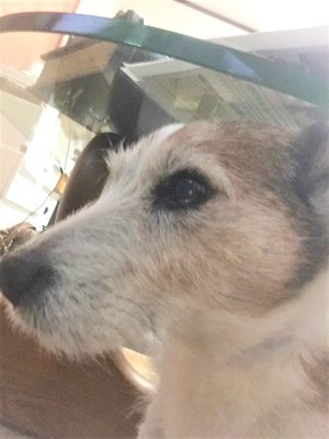 鉄 ショック2.jpg