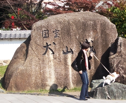 IMGP5347.JPG