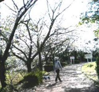 P1000003.JPG