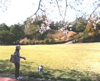 P1000004.JPG