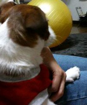 ball2.jpg