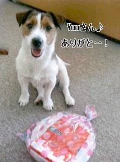 hana.jpg