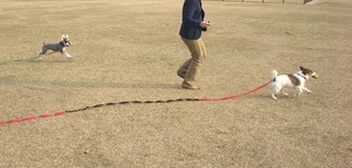 hisahiroba5.JPG