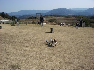 iyasinoyu16.JPG